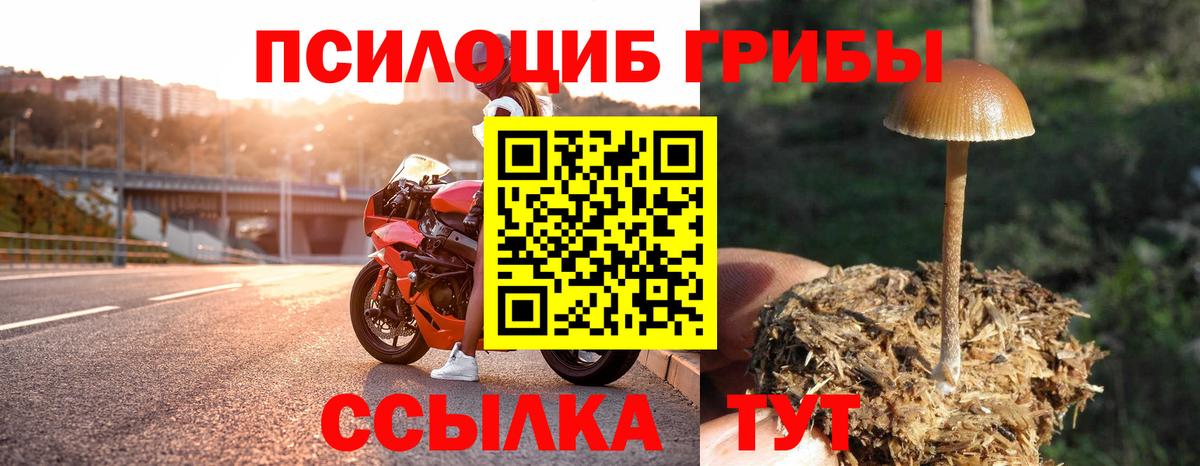 Галлюциногенные грибы мухоморы  Вход с VPN  Галлюциногенные грибы мухоморы  Нижнеудинск 
