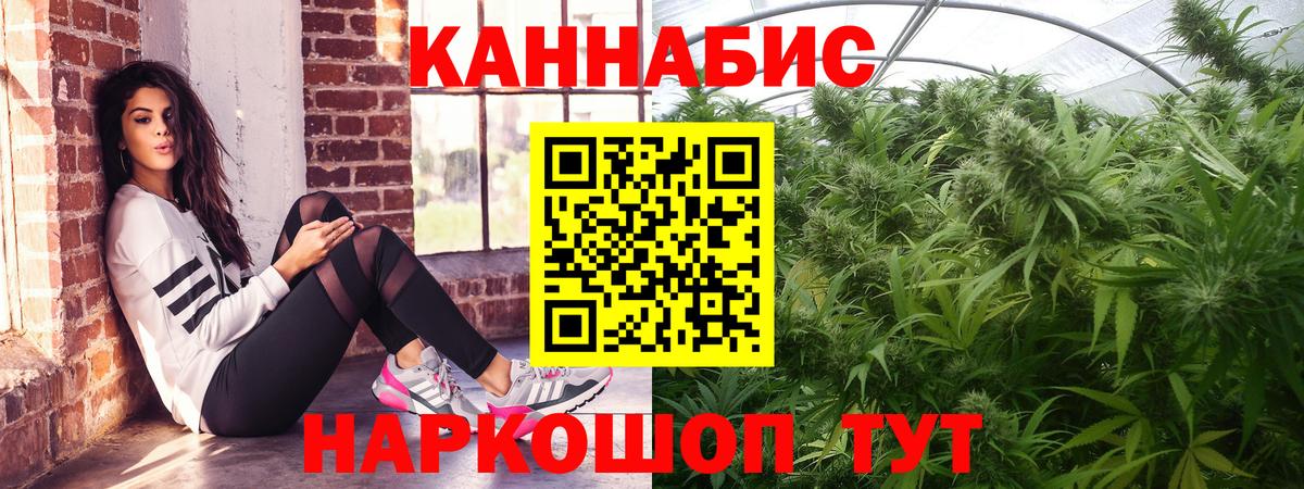 Каннабис White Widow  Вход с VPN  Бошки Шишки марихуана  Каннабис конопля  Нижнеудинск 